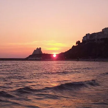 I Pesci Di Sperlonga-3